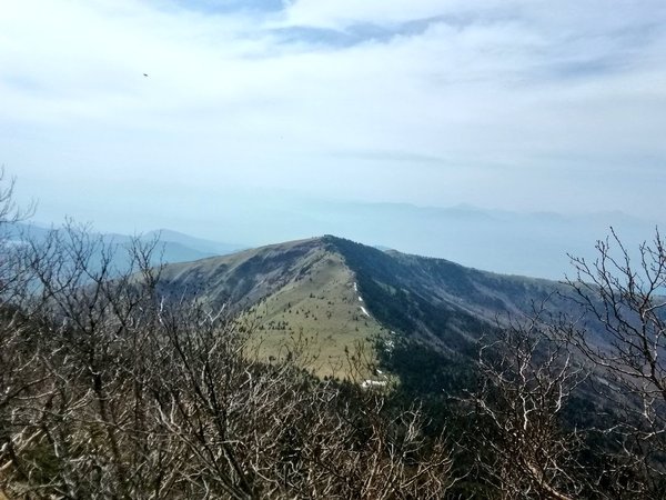 2019529191619.jpg